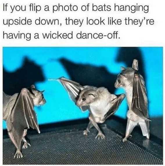 1759825286338.jpeg