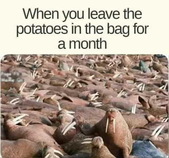 1759957978477.jpeg