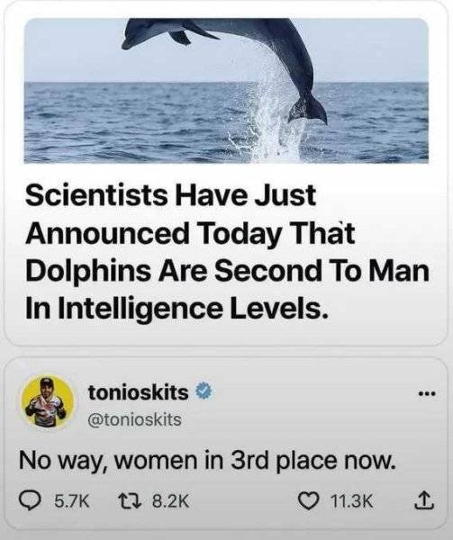 1760129090803.jpeg