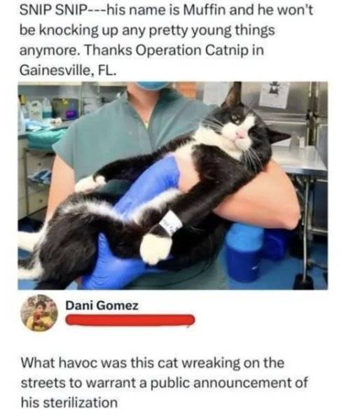 1760617708314.jpeg
