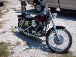 1980WideGlide-3.jpg