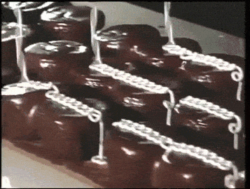 1EA55DE9-C702-4481-AC8B-5DD69060E643.gif
