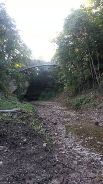 20130813_190336.jpg