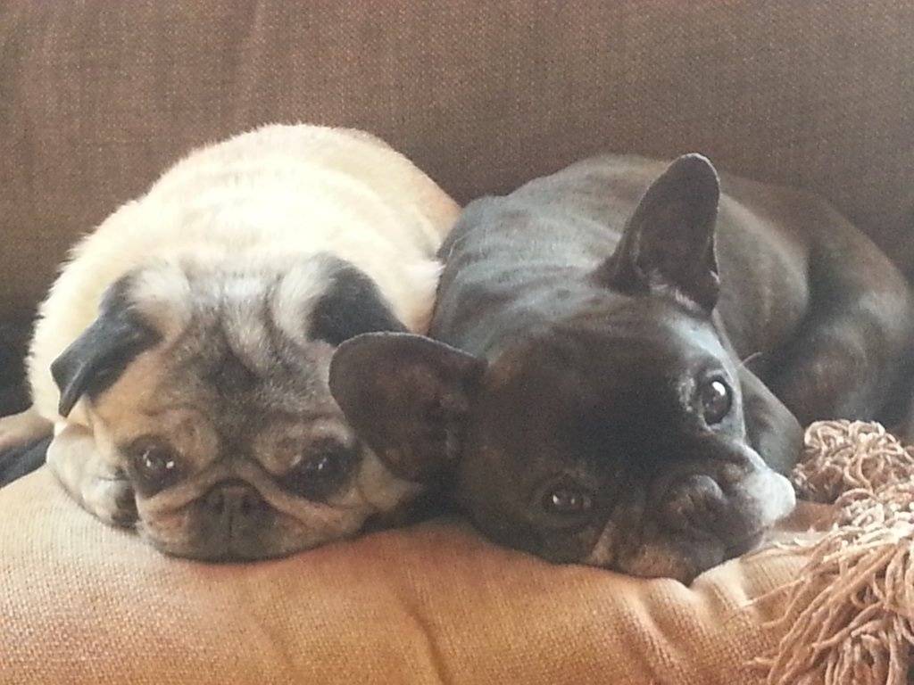 20131129_112053.jpg