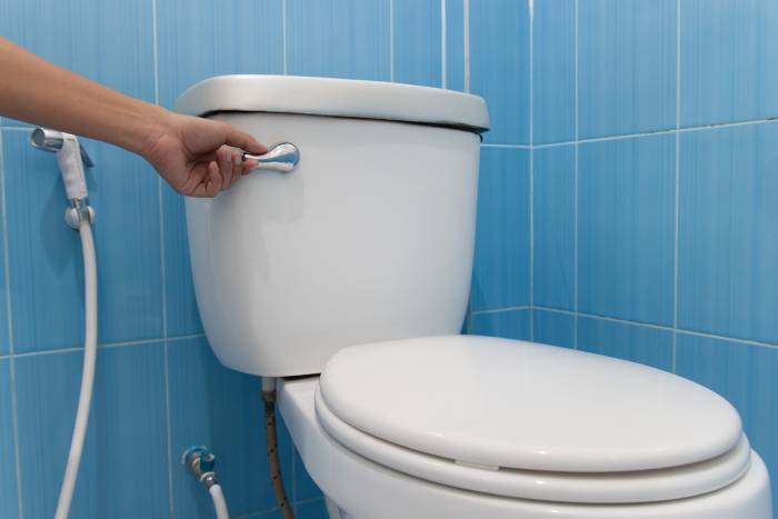 20151110lnp1-toilet.jpg