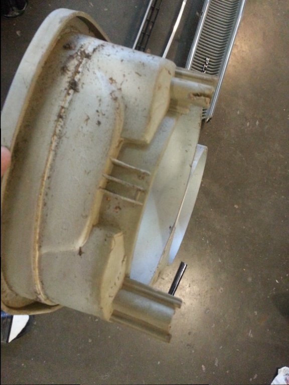 20160403_141035.jpg