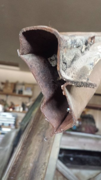 20160728_121930.jpg