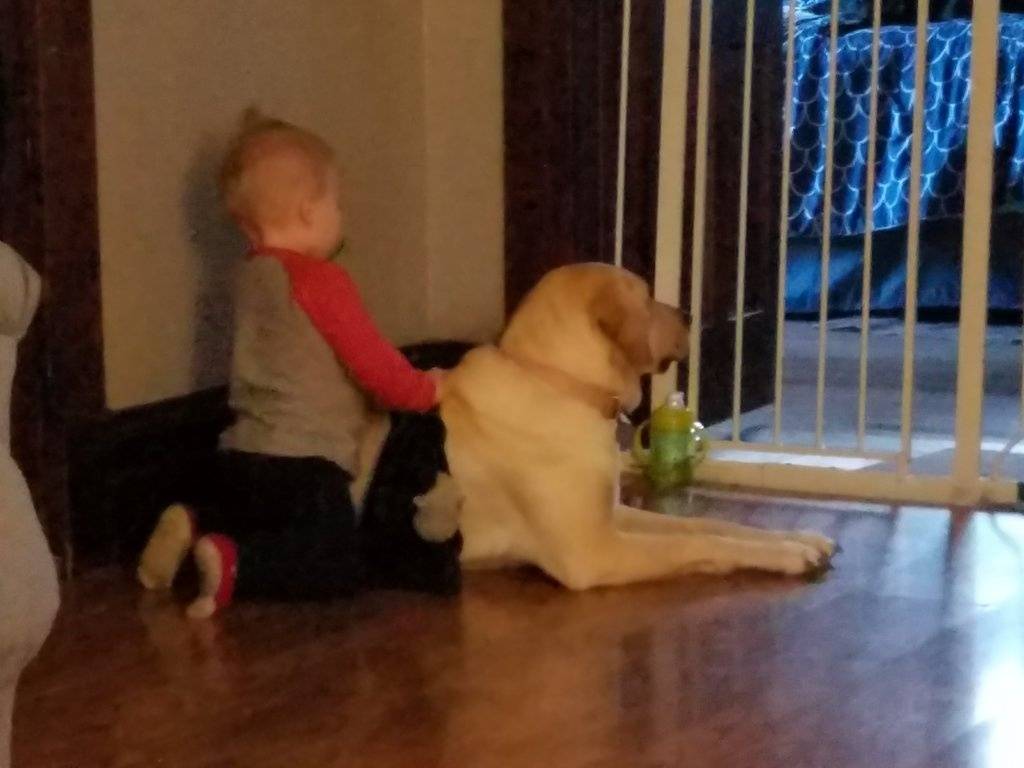 20170331_193159.jpg
