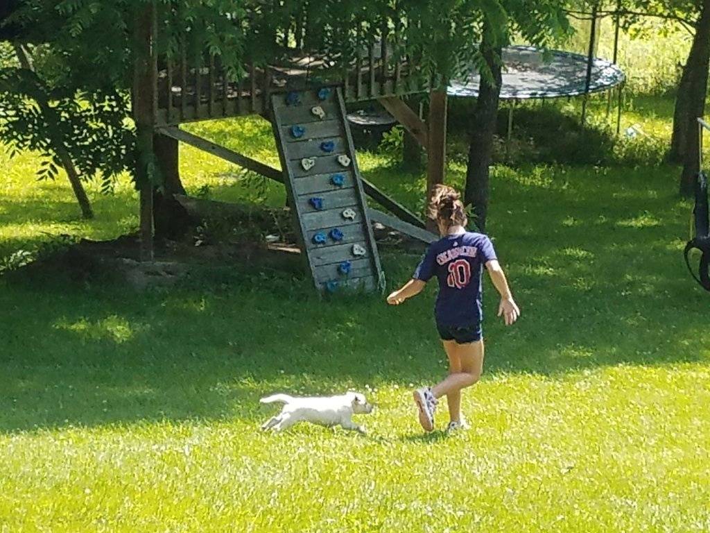 20170617_104012.jpg