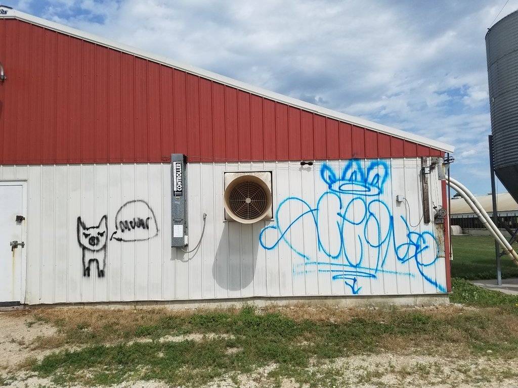 20170624_160233.jpg