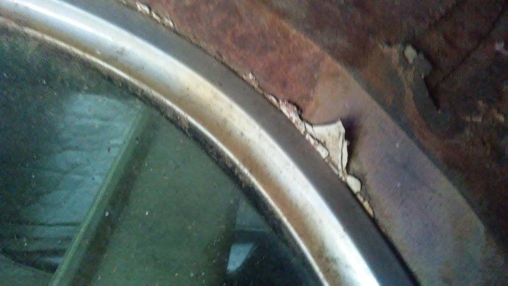 20170902_133119.jpg