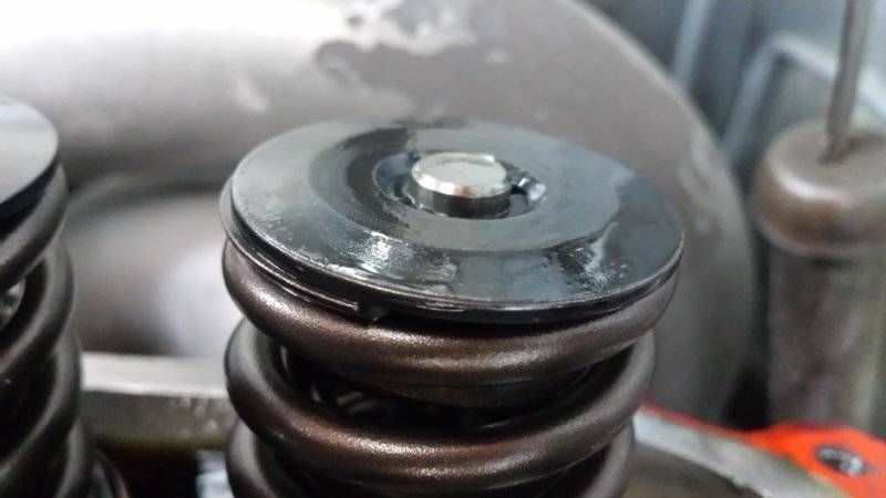 20180529_184450.jpg
