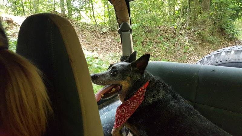20180704_154408.jpg