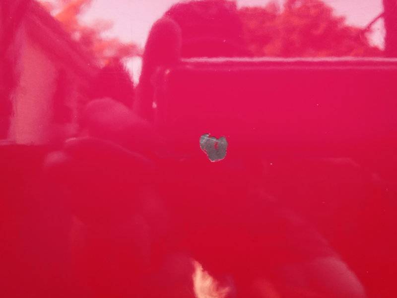 20180805_085600.jpg