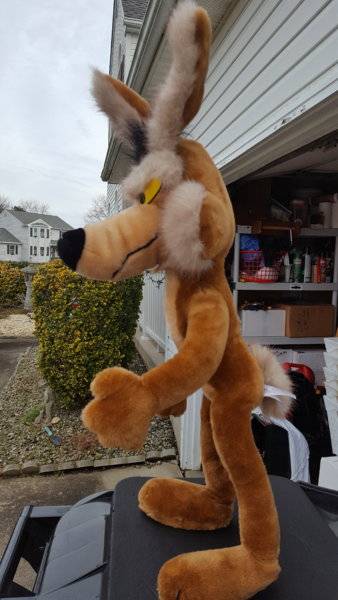 wile e coyote plush doll