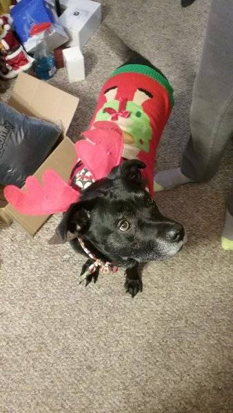 20181224_223355.jpeg