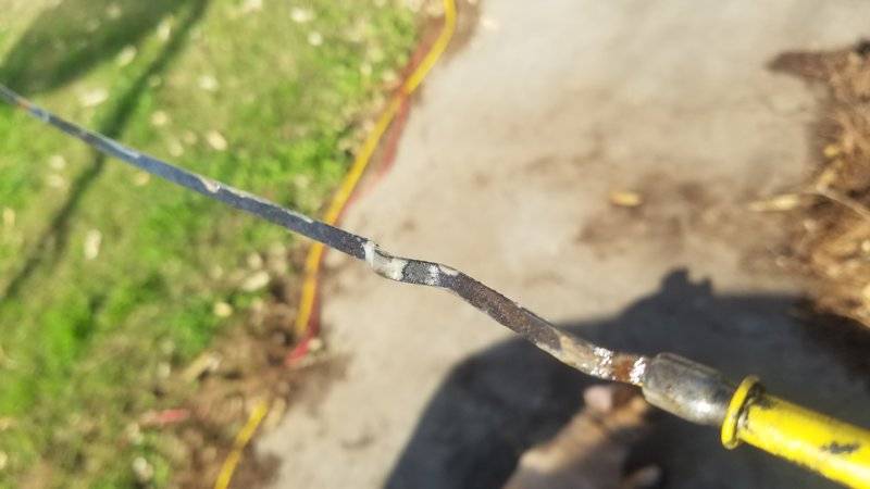 20190112_125917.jpg