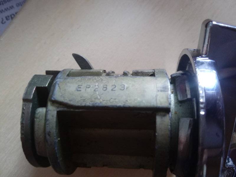 20190728_124658.jpg