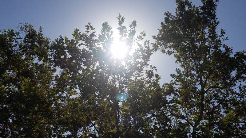 20190927_110301.jpg