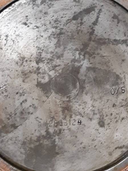 20191011_194307.jpg