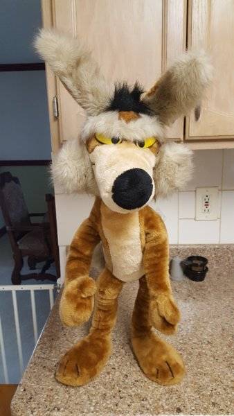 stuffed coyote toy
