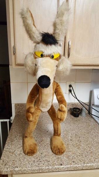 wile e coyote stuffed animal for sale