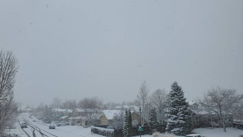 20200319_170255.jpg