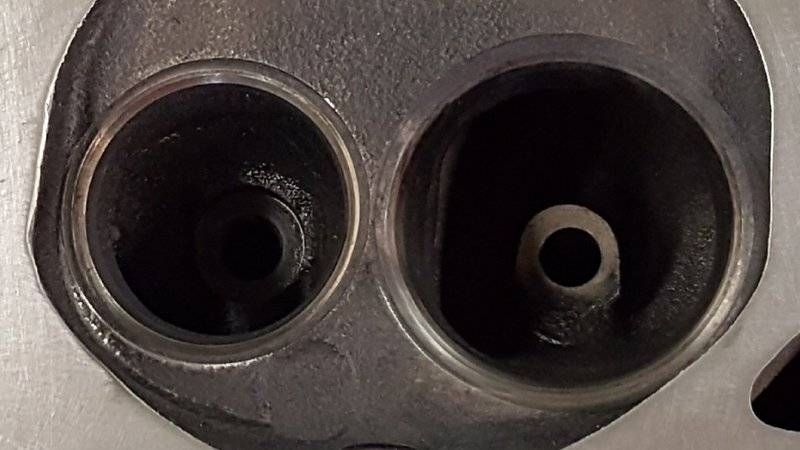 20200404_175507.jpg