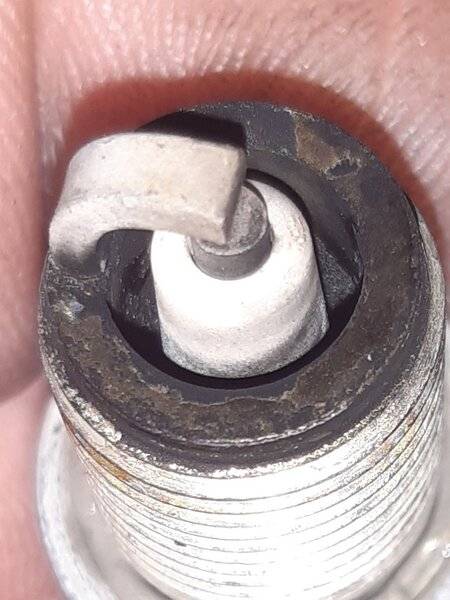 20200531_171130.jpg