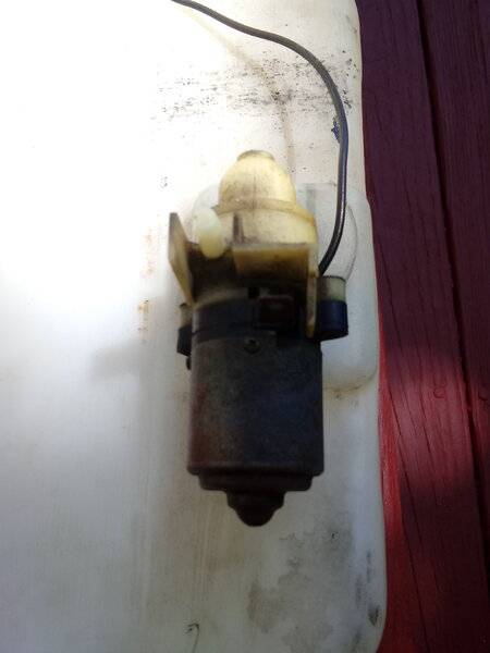 20200613_114156.jpg