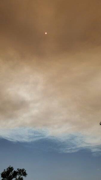 20200814_141318.jpg