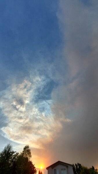 20200814_190038.jpg