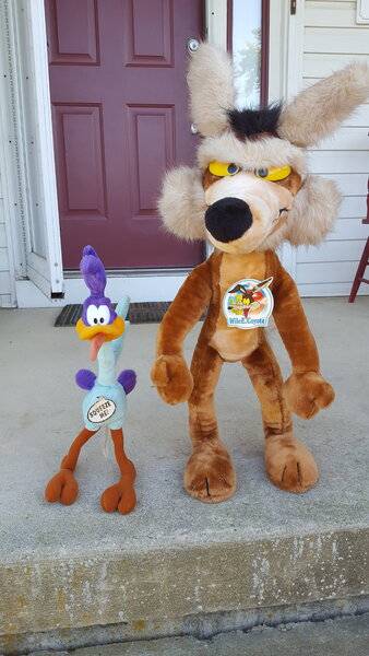coyote and roadrunner toys