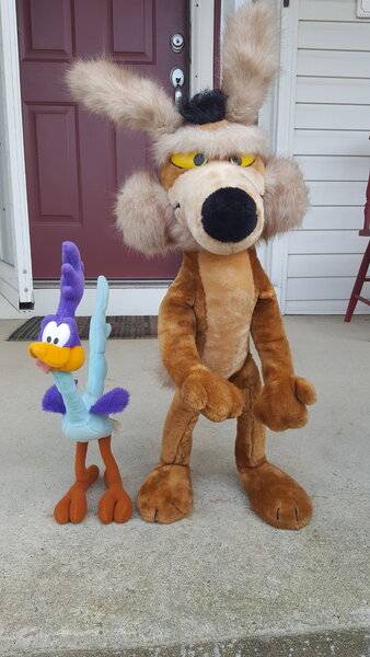 wile e coyote and roadrunner toys