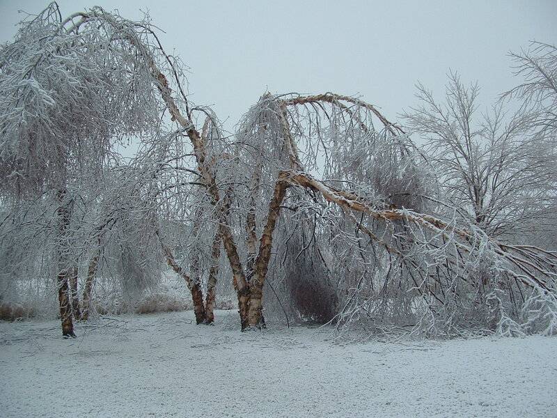 2021 New Years Day Ice Storm (1).JPG