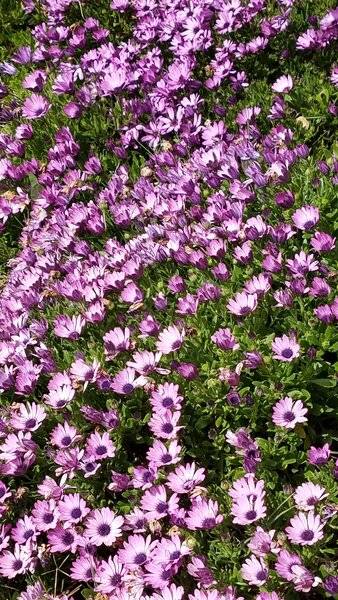 20210315_121431.jpg