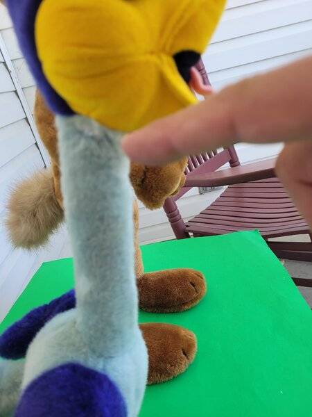 coyote and roadrunner toys