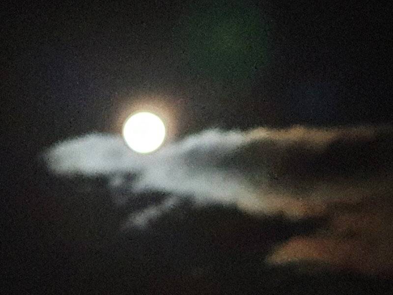 20210526_183404.jpg