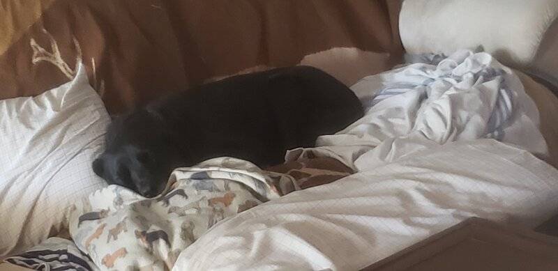20210831_160319.jpg