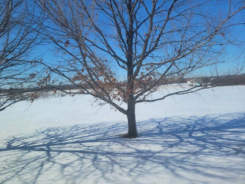 20220204_104445.jpg