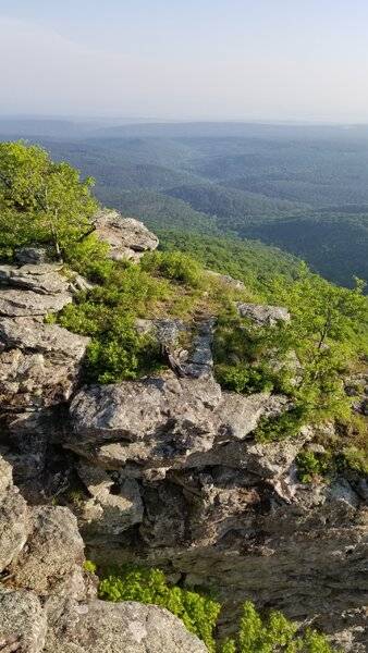 20220513_074441.jpg