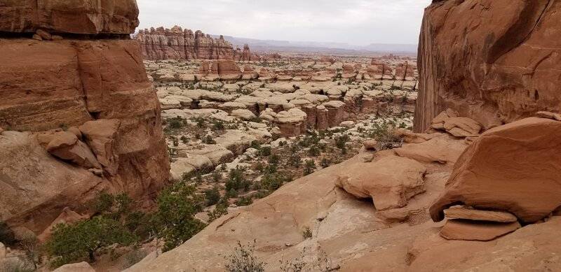 20220520_103859.jpg