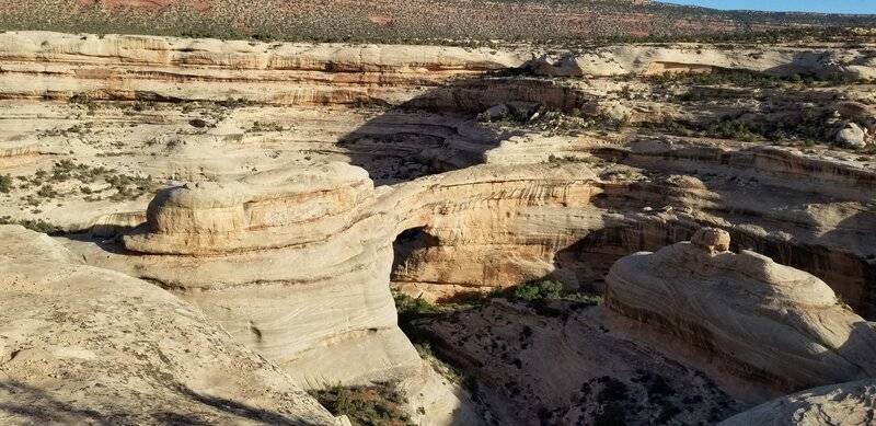 20220521_075028.jpg