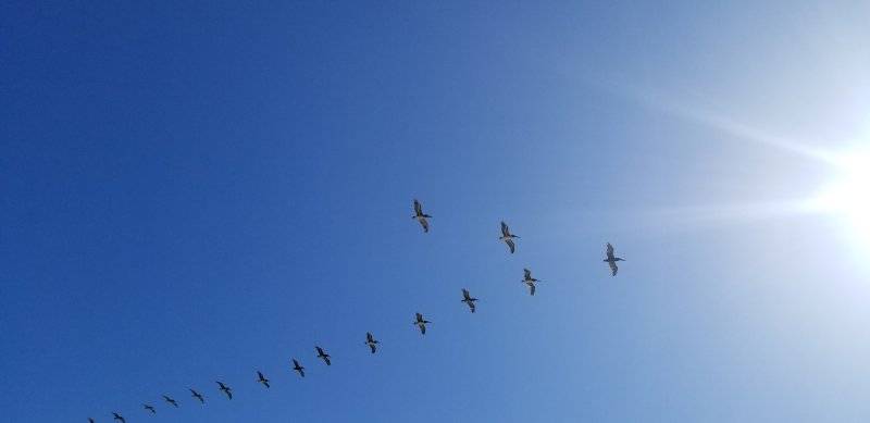 20220602_165209.jpg
