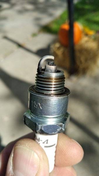 20221008_133437.jpg