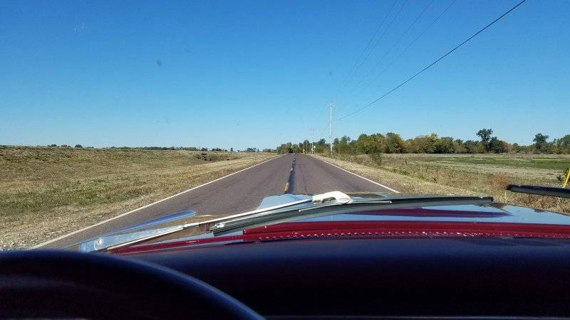 20221018_115456.jpg