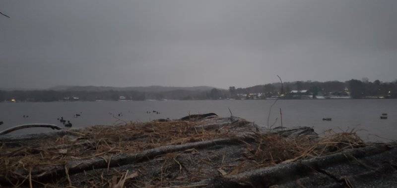 20221116_062412.jpg
