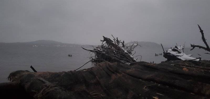 20221116_062419.jpg