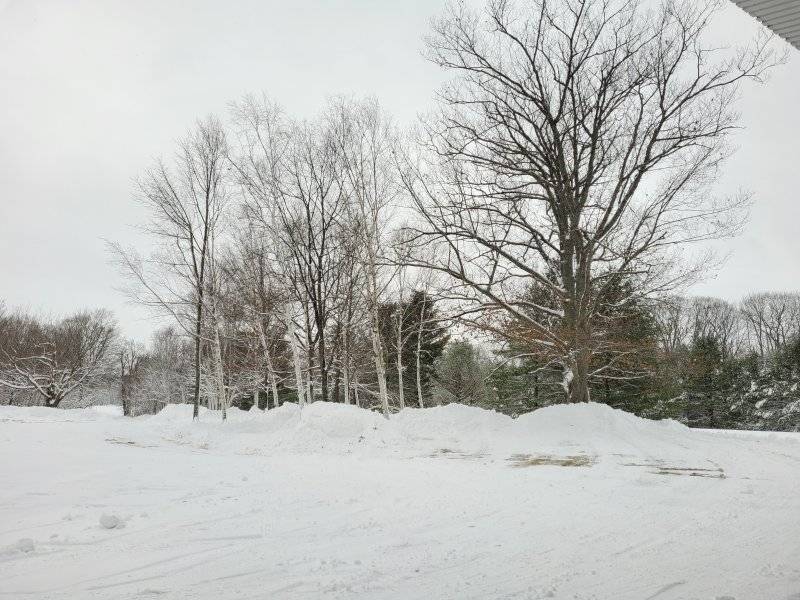 20221219_114054.jpg
