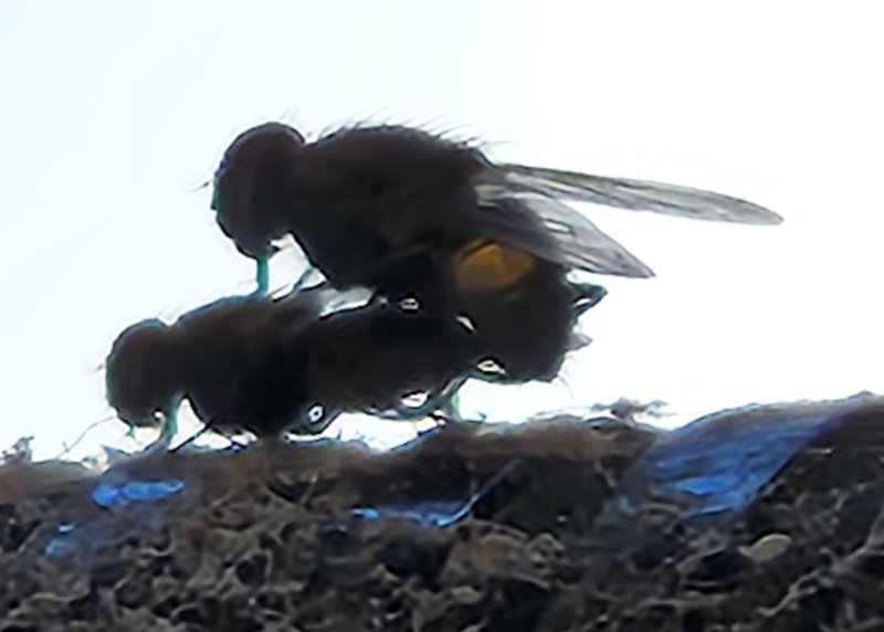 20230325_105155.jpg